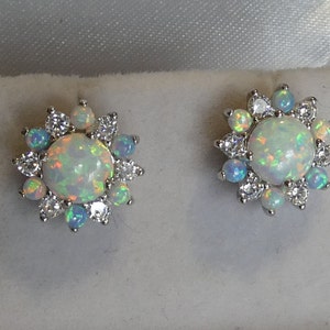 Pretty Silver Two Colour Opal Set Ear Studs