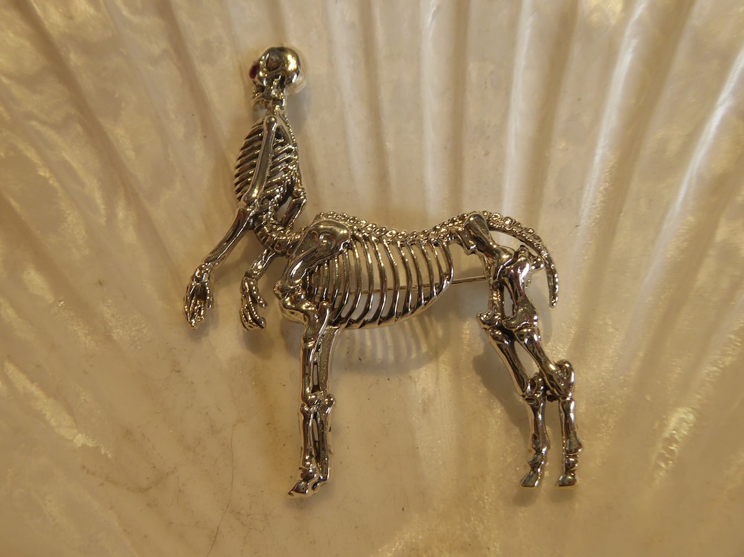 Silver Anatomical Skeleton Half Human Horse Brooch - Etsy
