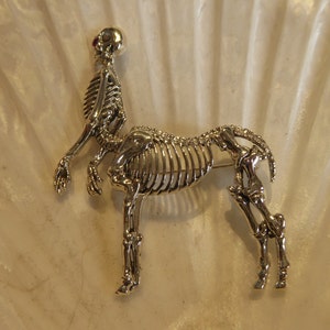 Silver Anatomical Skeleton Half Human Horse Brooch
