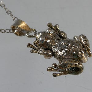 May include: A silver-toned metal pendant shaped like a frog with a textured, bumpy surface and smooth, rounded eyes. The frog pendant is attached to a delicate, thin silver-toned metal chain that extends from the top of the pendant's bail.
