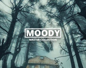 18 Lightroom Presets || Moody Collection || Lightroom Preset Bundle | Moody Photography Presets | Fog Photography Preset || Film Presets