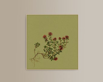 BOTANICAL WALL ART - Red Thyme - Bohemian Decor - Printable Home Decor - Poster - Canvas