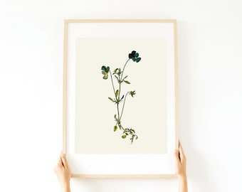 NEUTRAL Botanical PLANT WALL art
