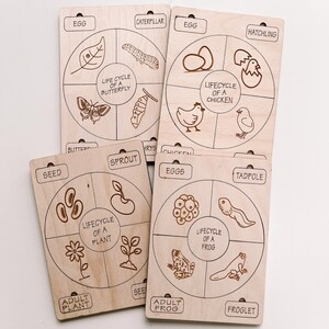 Lebenszyklus Puzzle, Pflanze, Frosch, Schmetterling, Huhn, Holzpuzzle, Montessori, Homeschooling, Montessori Spielzeug, Kinderpuzzle