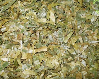 Dried Graviola Leaf Soursop