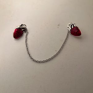 Anatomical heart collar pins