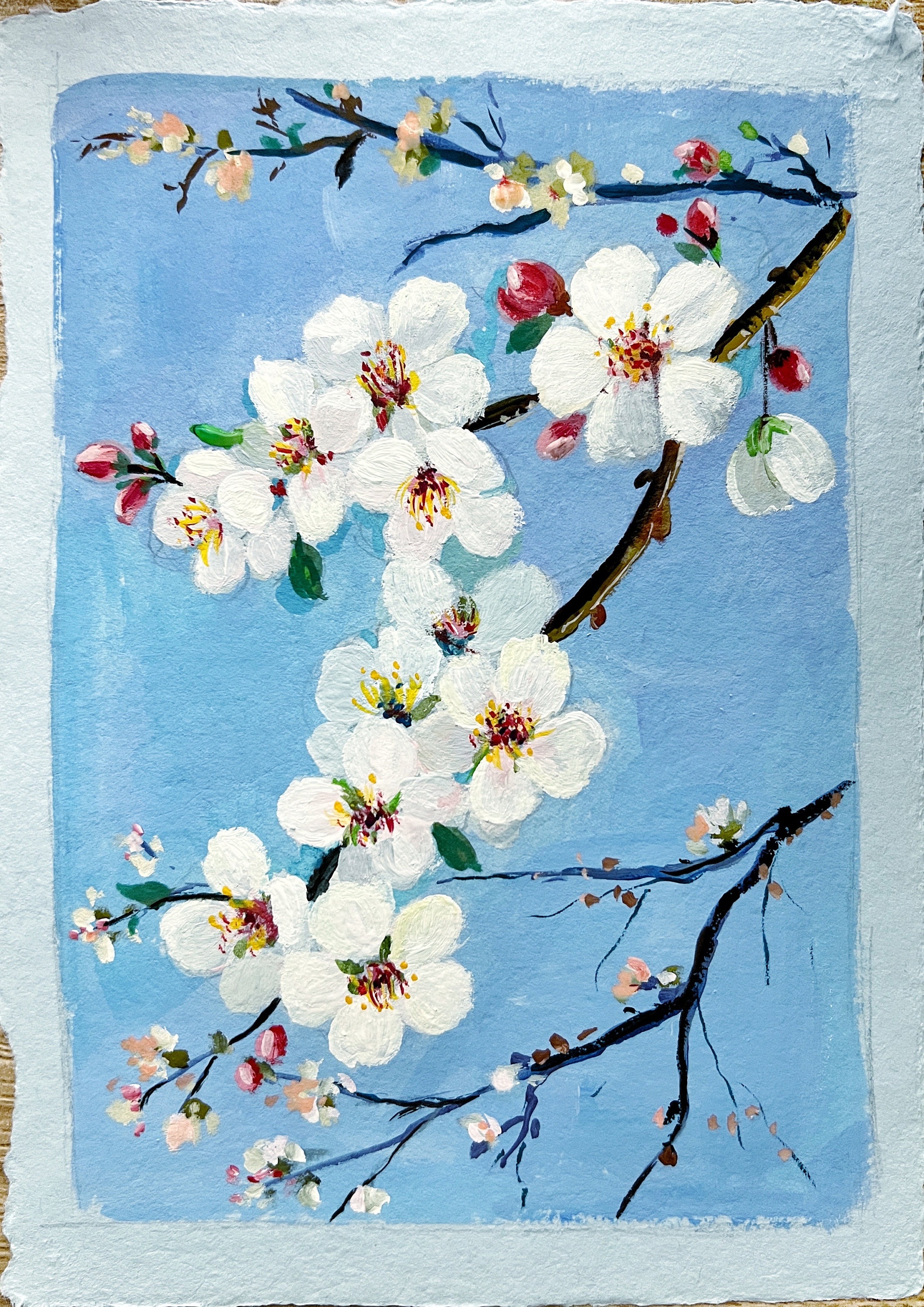Original Apple Blossom Gouache Painting: Michigan State Flower Art