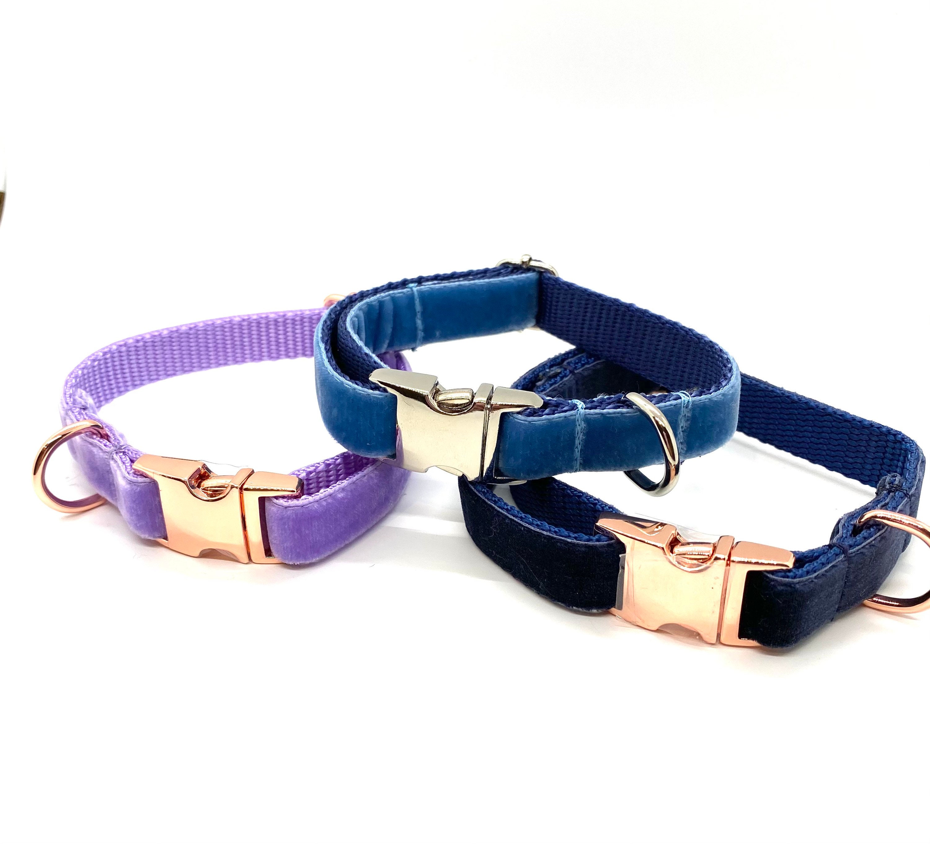 Fashionable Velvet 5/8 Dog Collar / Soft to touch / Blue Etsy