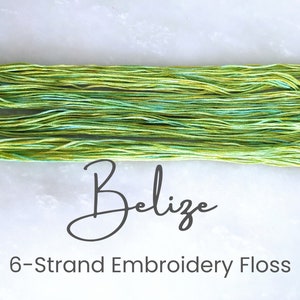 May include: Six strands of green, blue, and yellow embroidery floss, bundled together. The floss is labeled "Belize" and "6-Strand Embroidery Floss".