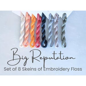 Big Reputation - Set of 8 Colors, Embroidery Floss, Gray Orange, Hand Dyed Variegated, 6-Strand Cotton, Dyed Thread, Modern Cross Stitch