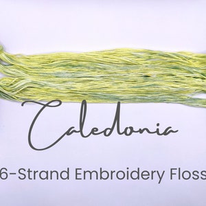 Caledonia - Hand Dyed Floss, 6-Strand Cotton Embroidery Floss, Dyed Thread, Modern Cross Stitch, Modern Embroidery, Green Yellow Variegated