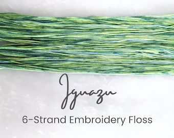 May include: A skein of green and blue 6-strand embroidery floss. The floss is called "Jguazu".