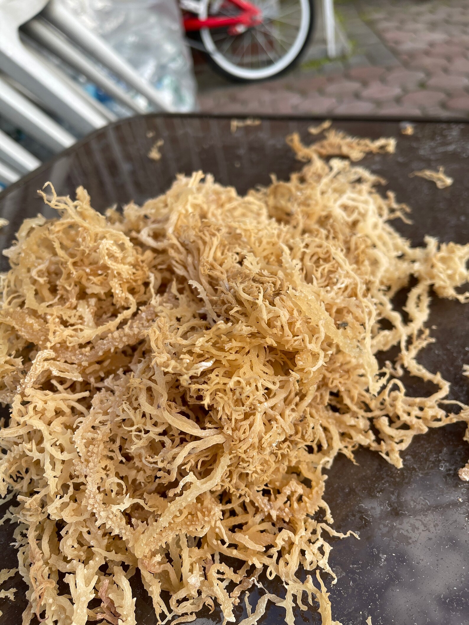 Jamaican Sea Moss Etsy