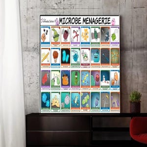Cartes à collectionner 微生物動物園ポスター