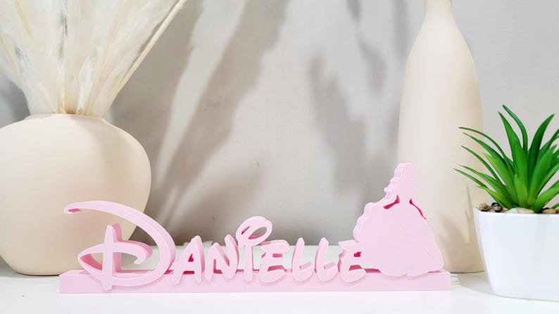 May include: Pink wooden nameplate with the name "DANIELLE" in a stylised font. A princess silhouette is on the right side of the nameplate.