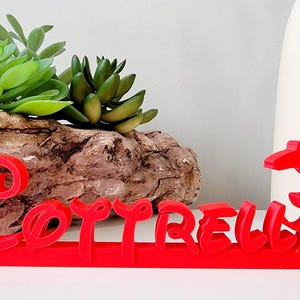 May include: Red 3D printed name sign with the name "COTRELL" in a stylised font. The sign is sitting on a wooden surface with green succulents in the background.