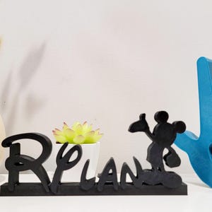 May include: Black wooden sign with the word "BELIEVE" in stylized lettering, a small potted succulent plant, a black silhouette of Mickey Mouse, and a blue hand sign with a heart cutout.