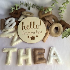 Ensemble de disques en bois pour bébés et de lettres de l'alphabet en feutre pour accessoires photo mensuels Cadeau pour nouveau-né souvenir neutre en matière de genre