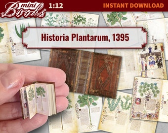 Puede incluir: Una réplica de libro en miniatura de "Historia Plantarum, 1395" con una cubierta de cuero marrón y detalladas ilustraciones de plantas. El libro está a escala 1:12 y se sostiene en una mano para comparar el tamaño.