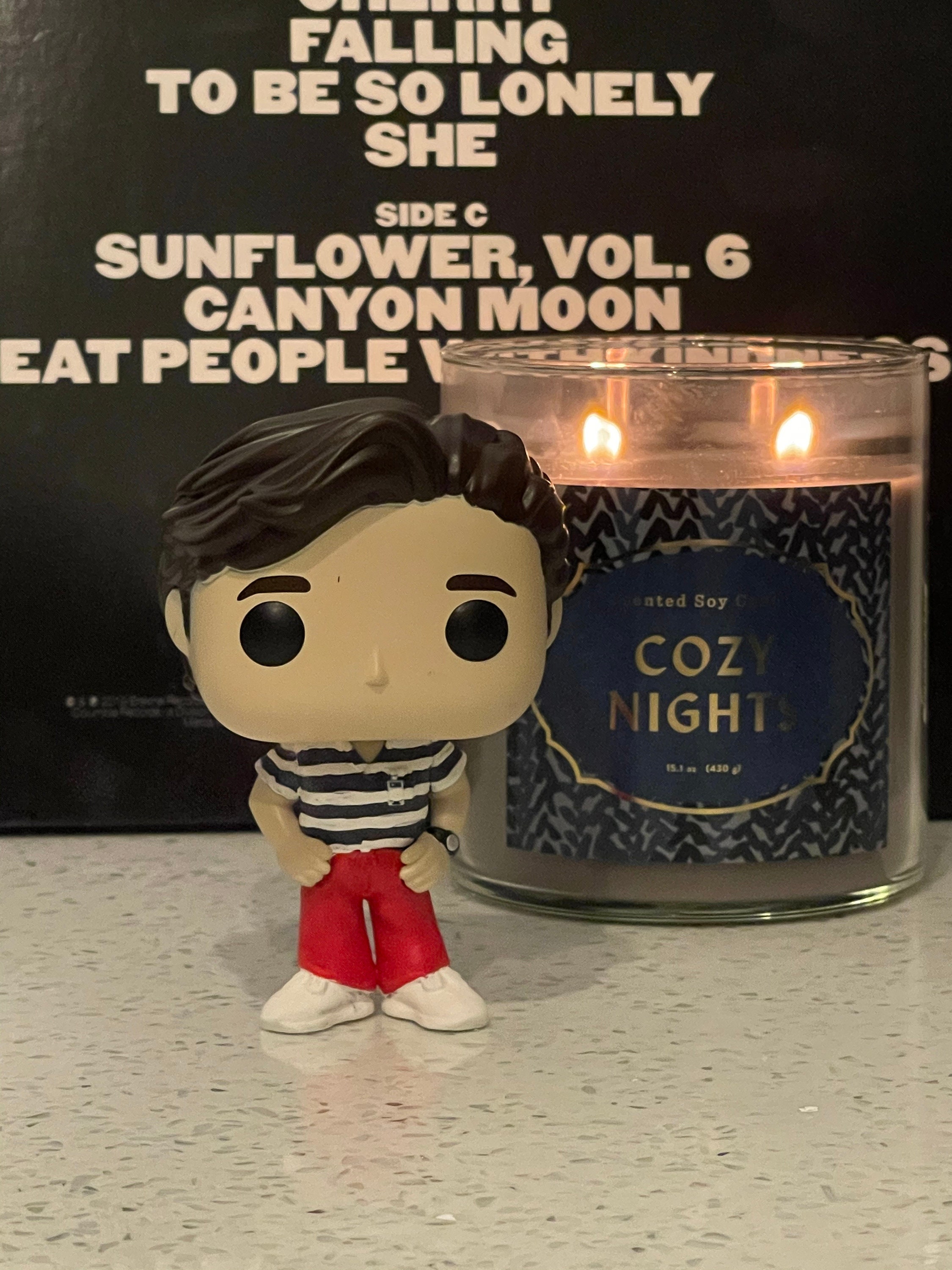 Louis Tomlinson SPECIAL EDITION Custom WMYB Funko Pop Figure 