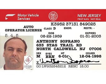 Isic Fake Id