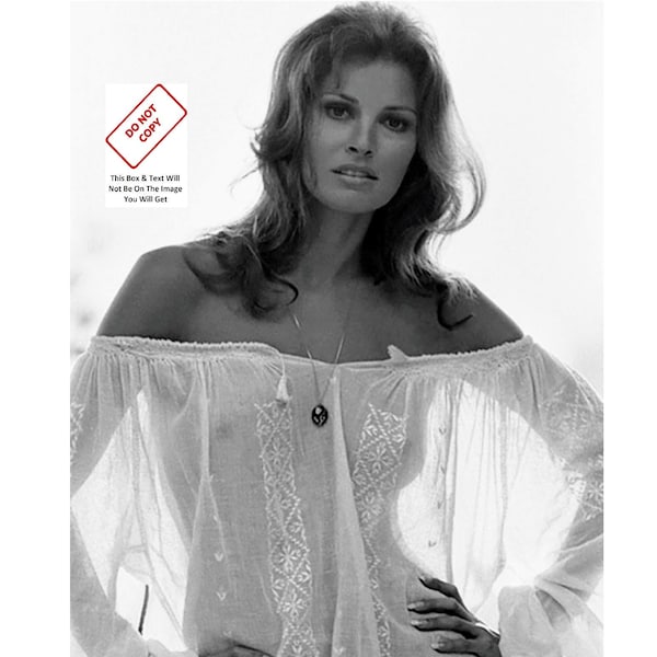 Raquel Welch See through Dress Sexy Hollywood Actress Sex Symbol Pinup Model Sexy Busty Big Boobs Vintage Photo Picture Print 34C