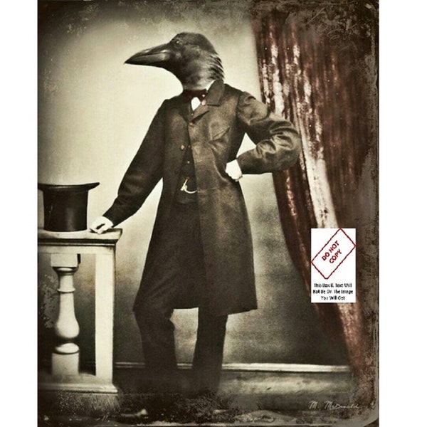 Weird Raven Man Photo Creepy Gothic Room Wall Art Print Vintage Halloween Home Witchy Occult,Wicca Wiccan Décor Oddities Curiosities E100