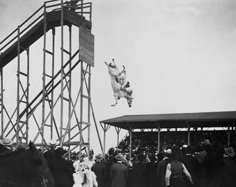 Diving Horses Weird Circus Act Vintage Photo Jumping Horse Print Poster Antique Boardwalk Gift Unusual Strange Black White Photograph 9662