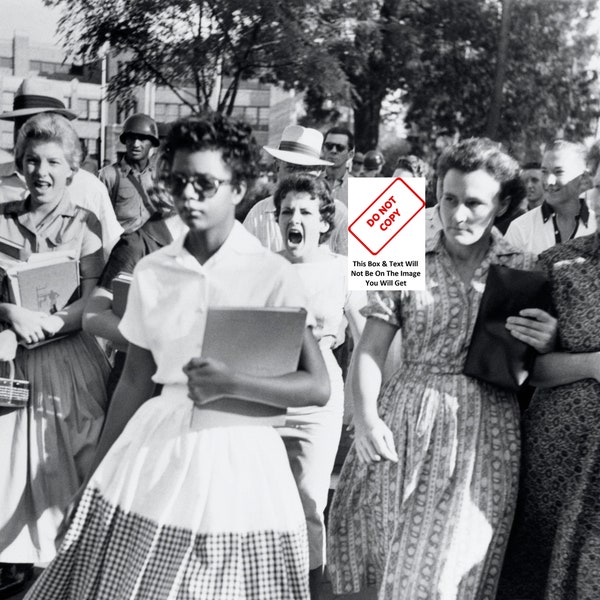 Segregation Little Rock Hate Elizabeth Eckford Harassed Vintage Photo Civil Rights Black Lives Matter Picture BLM African American 33B