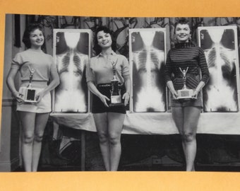 340px x 270px - Weird X-ray Beauty Contest Internal Beauty Pageant Lovely Sexy - Etsy Norway