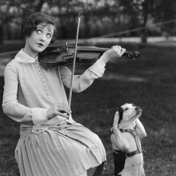 Funny Pet Dog With Woman Playing Violin Vintage Photo Puppy Humour Animal Lover Black and White Photograph Cool Gift Poster Print 9781