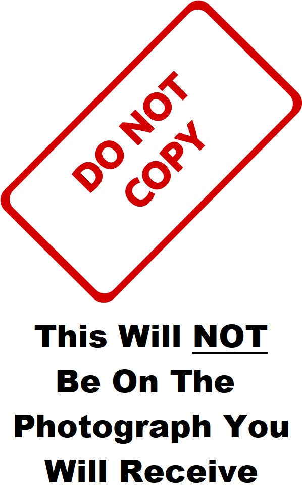 Nude Big Butt Sexy Huge Boobs Busty Naked Pinup Model Vintage - Etsy España