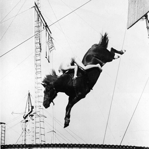 Diving Horses Vintage Photo Print Art Poster Antique Boardwalk Etsy