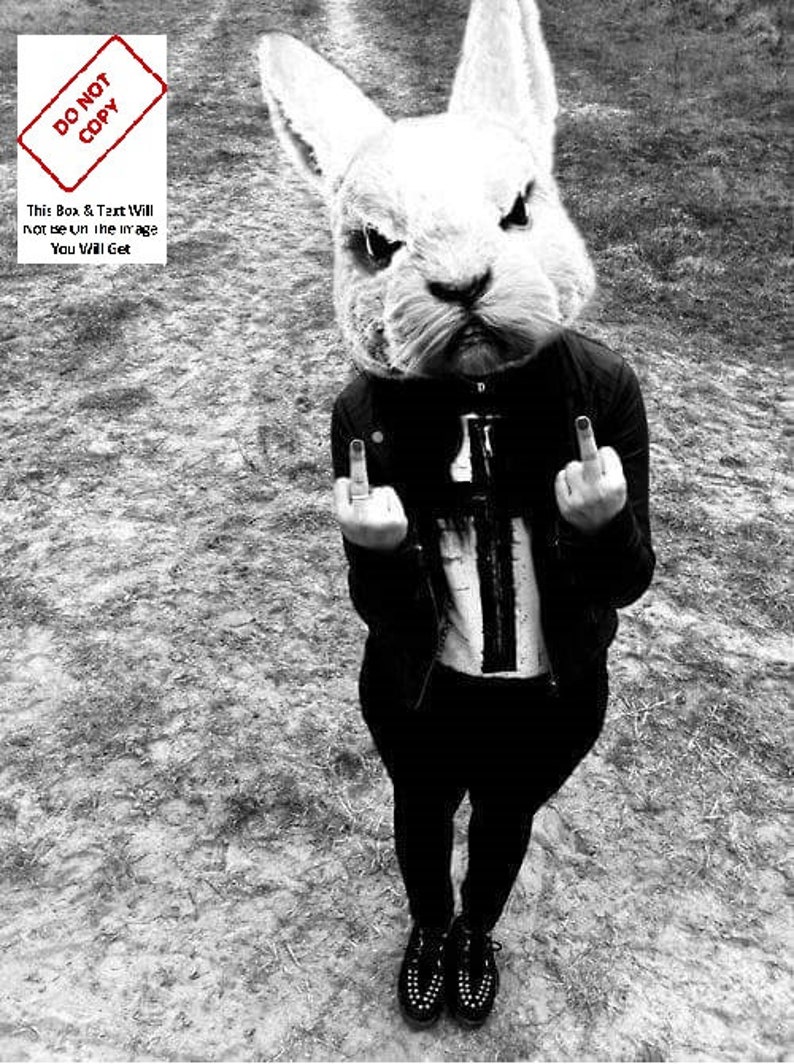 Weird Abusive Rabbit Scary Rabbit Sinister Vintage Photo | Etsy