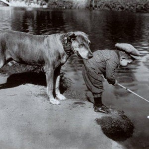 Funny Photo Boy Dog Golf Ball Weird Sport Vintage Photo Shocking Golfing Crazy Art Strange Print Black and White Photograph Odd Poster X82