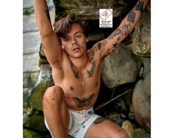 Harry Styles Naked Poster - Etsy