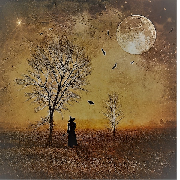 Witchy Photo Season of the Witch Goddess Full Moon Gothic Macabre Art woman mood Haunting Raven Birds Black Crows Halloween 192C