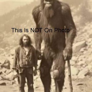 Bigfoot Photo, Sasquatch Photo, Bigfoot Photographed With Explorer ...