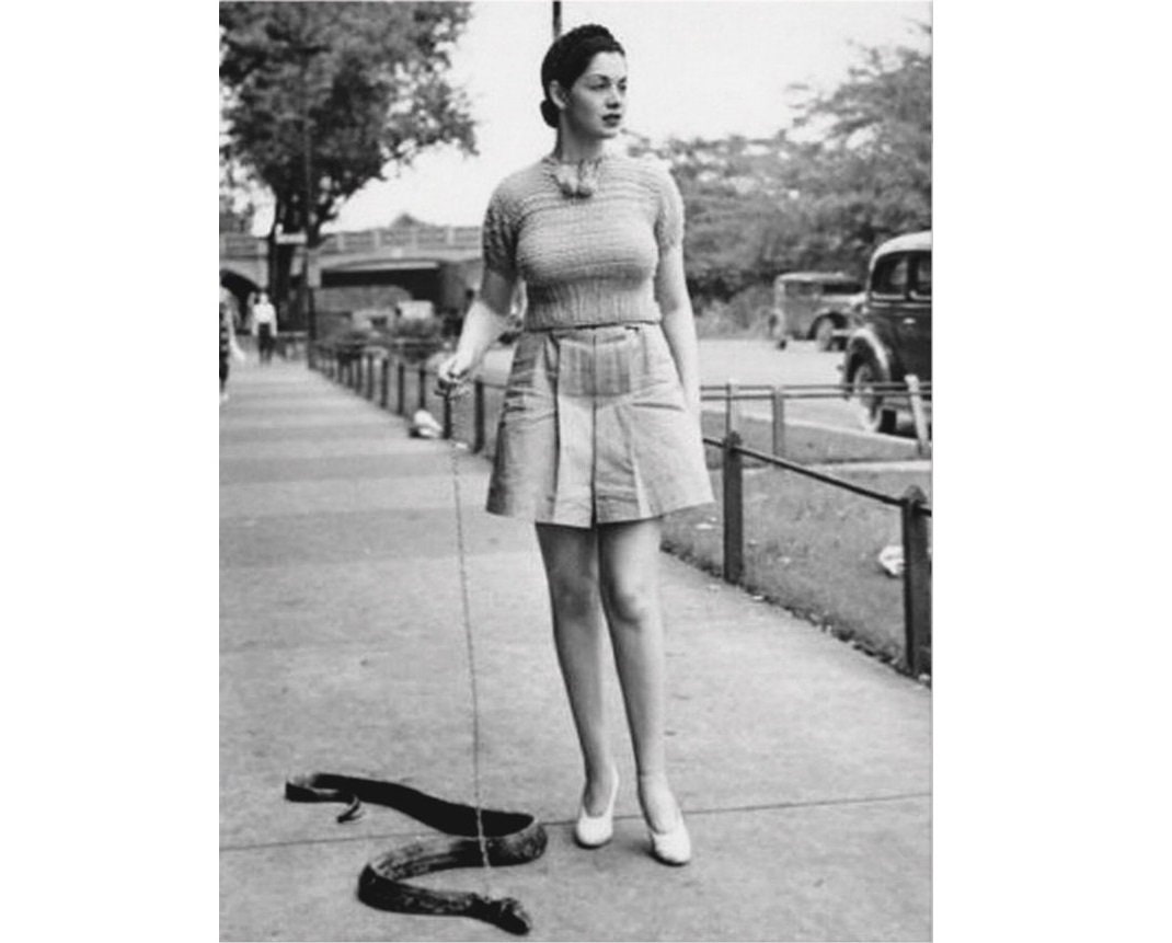 Snake on a Leash Photo Weird Photo Snake Skin Vintage Snake Etsy