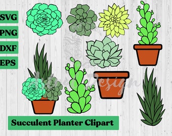 Succulent SVG Bundle Digital Cut Files for Cricut Silhouette, What the Succulents, Flower Pots, Clipart, Vector Images, PNG, Catcus