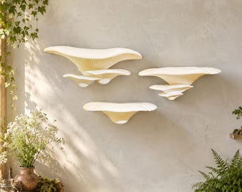 Mushroom Wall Shelves Set of 3 | 3D Mushroom Shelves | Cottagecore Wall Decor | Fairycore Display Shelves | Multiple Sizes & Colors