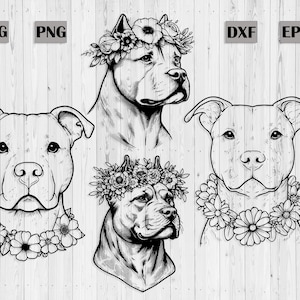 Pitbulls mit Blumenkrone/ Blumenhalsband SVG | Pitbull SVG PNG | Druckbare Ausmalseiten, Gravurdateien, Schnittdateien für Cricut
