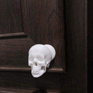 May include: A white skull-shaped cabinet knob is fixed to a dark brown wooden cabinet door. The knob is a detailed, three-dimensional representation of a human skull, adding a gothic or macabre touch to the furniture.
