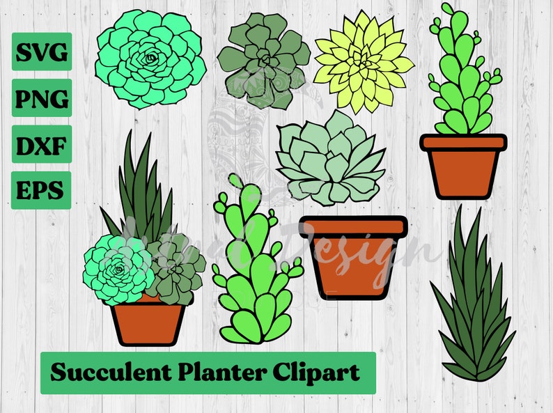 May include: A set of succulent planter clipart images. The clipart includes various types of succulents in pots, including a cactus, a rosette succulent, and a long-leaf succulent. The clipart is perfect for crafting projects, scrapbooking, and digital design.