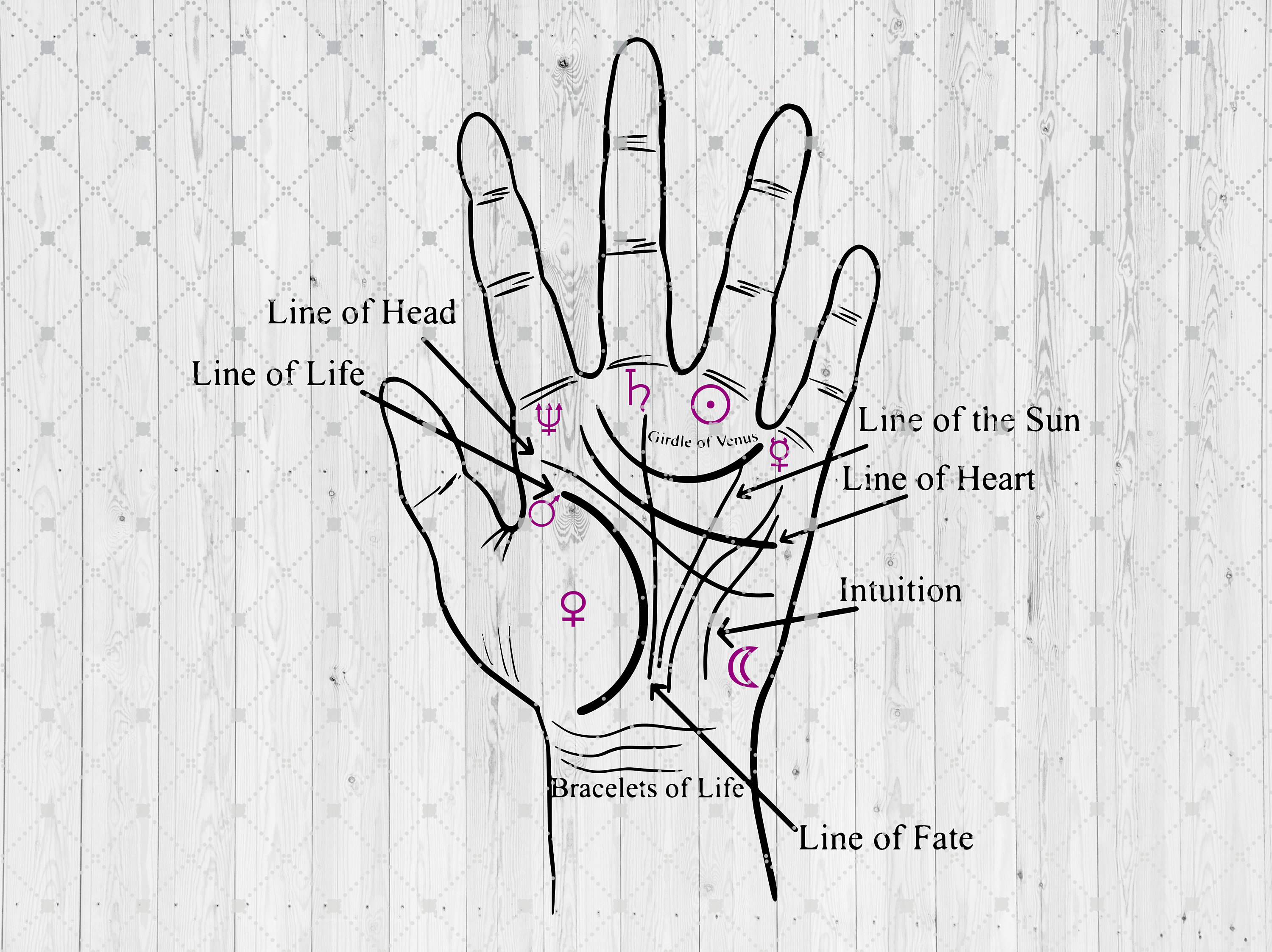 Palm Reading Chart SVG, Cut Files for Cricut, Palmistry , Chiromancy Clipart, Witch, Fortune Telling, Psychic, Hand PNG, Life, Love Lines