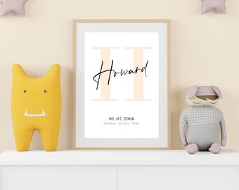May include: A framed print featuring a large, pale peach letter H, the name Howard in black script, and the text 01.07.2006, 09:45am, 6lb 12oz, 19.8in. The print is displayed between a yellow monster-shaped plush and a grey plush doll.