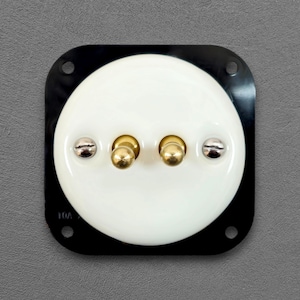 Op de afbeelding: Een elektrische contactdoos in vintage-stijl met een witte, ronde voorkant en twee messing aansluitingen. De contactdoos is geplaatst in een zwarte, vierkante plaat met montagegaten. Zilveren schroeven bevestigen de frontplaat. Het item is gemarkeerd met "10A".