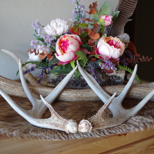 Gorgeous Antler Pair / Matched Deer Antler Set / Decorative Deer Antlers / Whitetail Deer Antlers