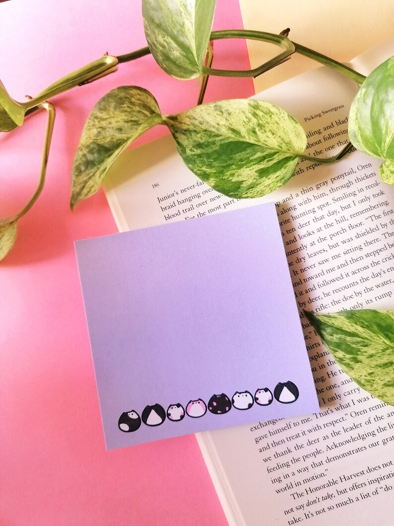 notepad lies on a book in front of pink background, plant trailing around