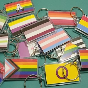 Może przedstawiać: Zbiór 12 różnych breloków z flagami dumy, w tym flagami transpłciowych, lesbijek, gejów, biseksualistów, panseksualistów i aseksualistów. Breloki są wykonane z przezroczystego plastiku z metalowym kółkiem.